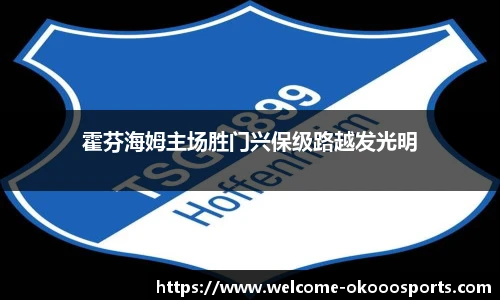 霍芬海姆主场胜门兴保级路越发光明